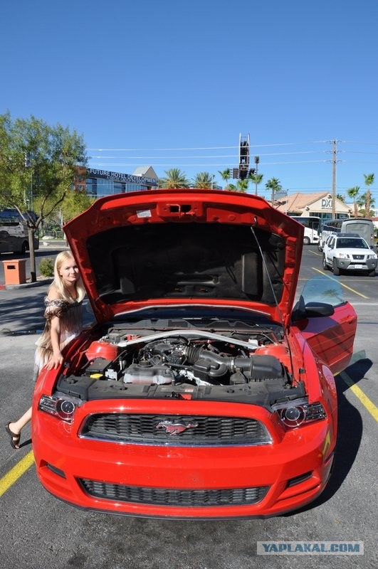 Ford Mustang напрокат