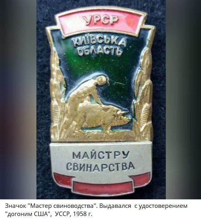 Настю Ивлееву просят проверить на содомию
