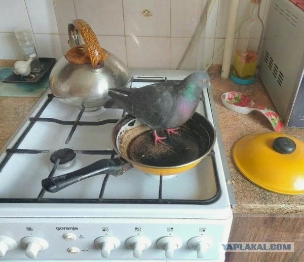 Чебуречка на Сухаревке