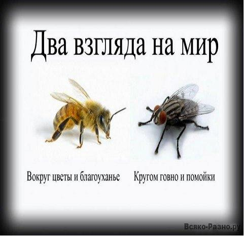 В Новой Москве буря сорвала российский флаг — его быстро вернули на место простые подростки, которые гуляли рядом