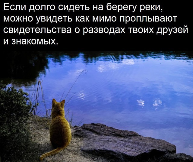 Всего понемногу. От 05.08.24