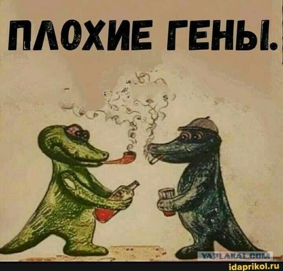Так себе картинки 28.11.24