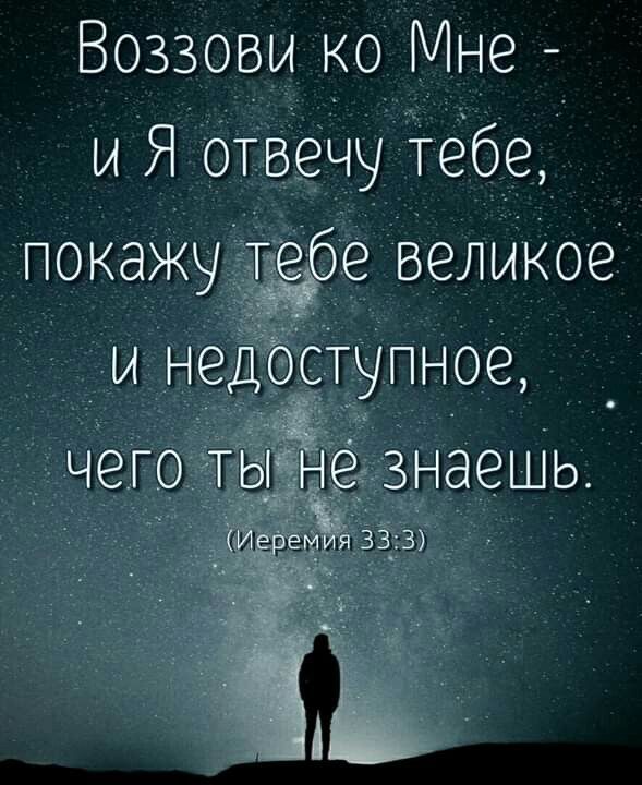 Прикольные и просто красивые картинки 17.12.2024