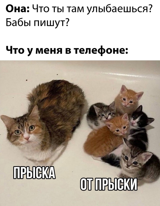 Весёлый полтишок 31.12.24