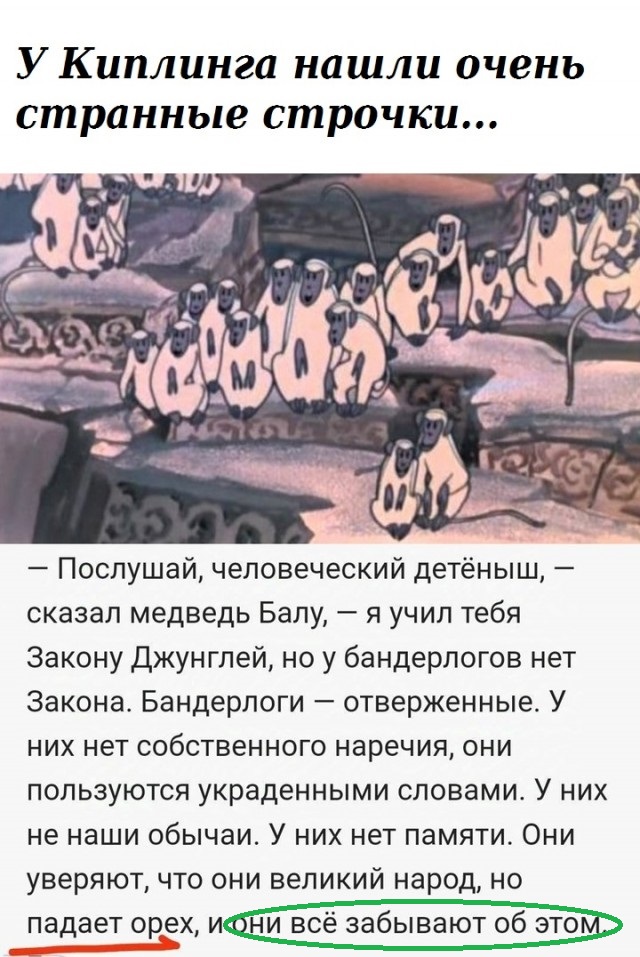 Весёлый полтишок 03.01.25