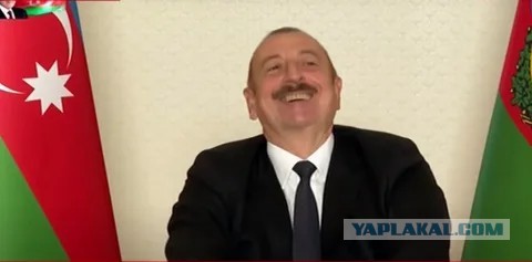 Член Общественной палаты России назвал видарасом президента Азербайджана