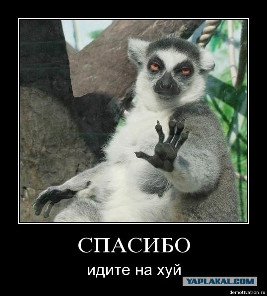 Самая дорогая девушка Москвы. +18