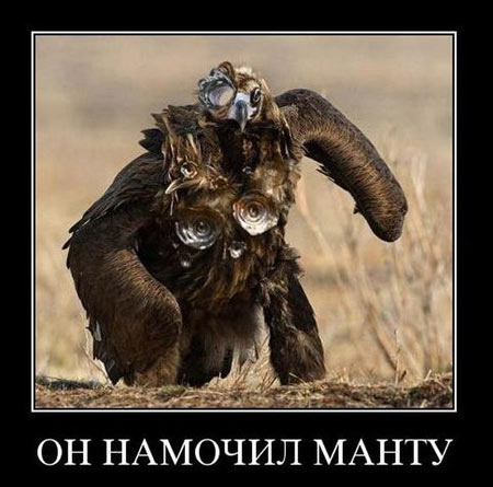 Рамки, буквы, короче - опытная (ну, или старая) дичь