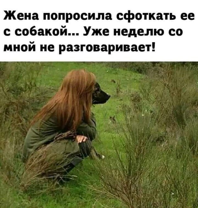 Картиночки, баянчики 04 февраля