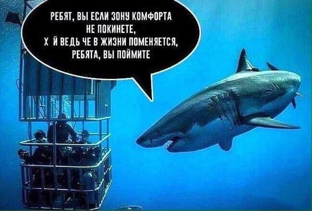Белая акула: 5 причин, почему эта рыба — самый страшный хищник океана