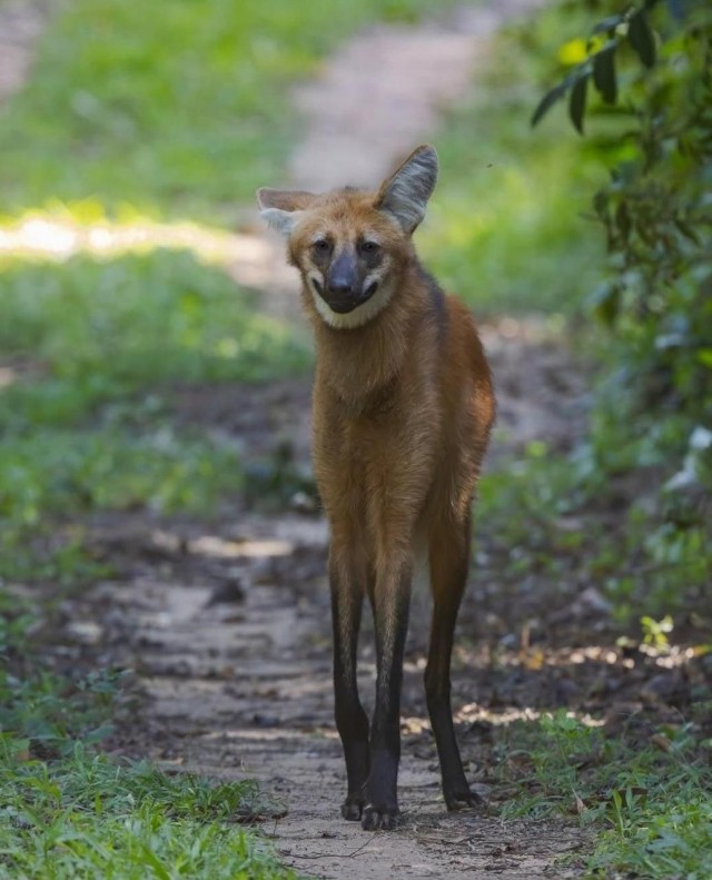 Так себе картинки 03.03.26