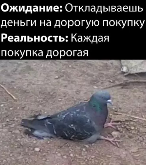 Картиночки, баянчики 15 марта