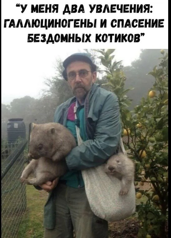 Не ходите дяди в Африку убивать