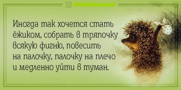 Так себе картинки 17.06.26