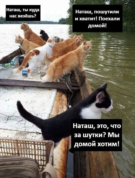 Найди себе уже мужика, Наташа!