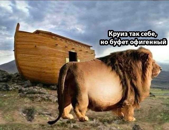 Картинки для деградации 229 (разной степени свежести)