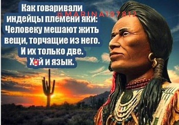 Так себе картинки 24.07.26