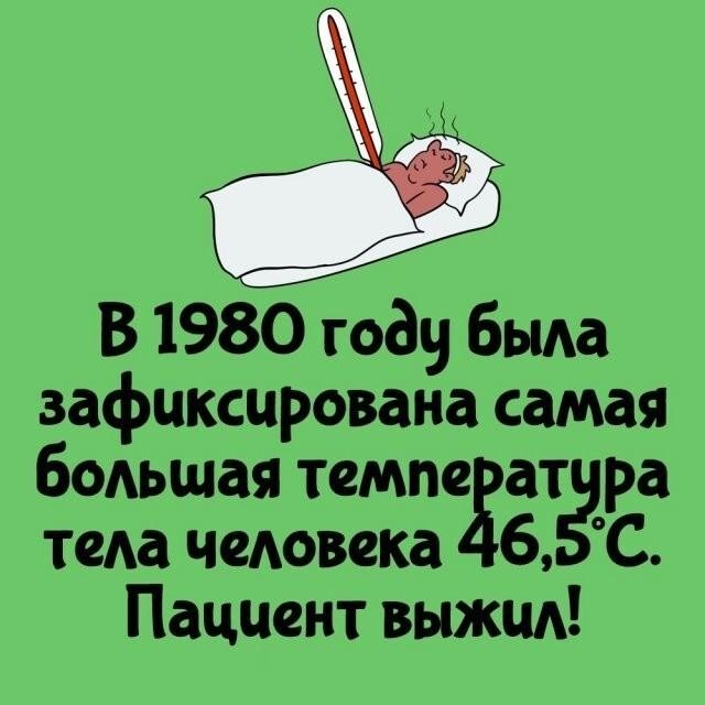 Интересные и короткие факты,на все случаи жизни 23.10.26