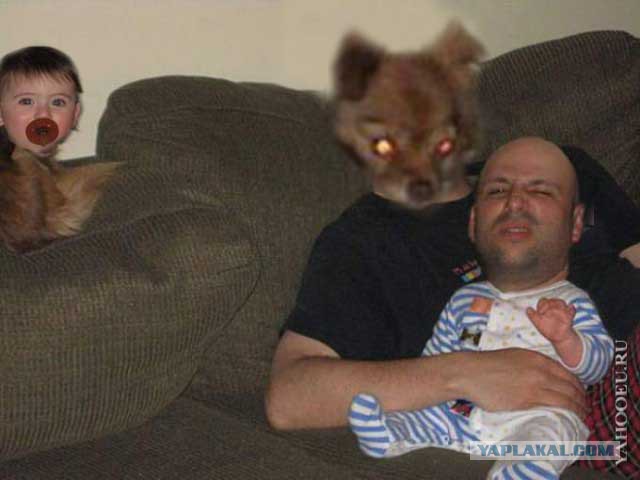 Это огромная ошибка - отфотошопить жену и сына