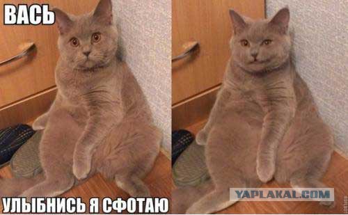 Позитивные картинки и комментарии.