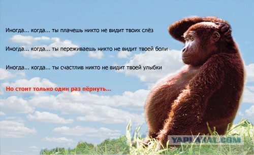 Чёрт, чёрт, чёрт!