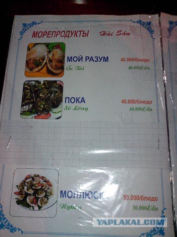 Путешествие во Вьетнам.