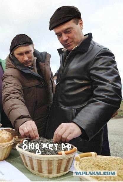 Урожай будет спасен!