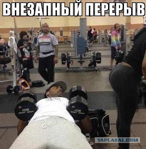 Прикольные картинки.