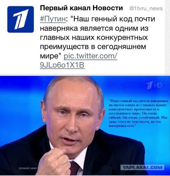 Во всем виноват Путин