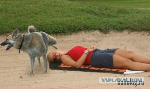 Улыбайтесь, господа.