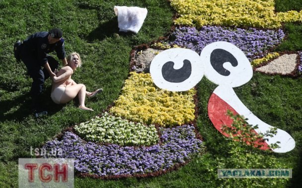 Femen пристроили талисманам Евро-2012 гениталии
