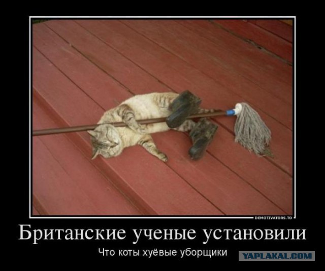 Картинки и приколы из соц.сетей и интернета