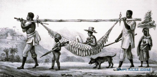 Я тоже прочитал, вскочил и бешенно аплодировал