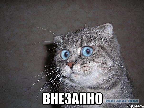 Происшествие