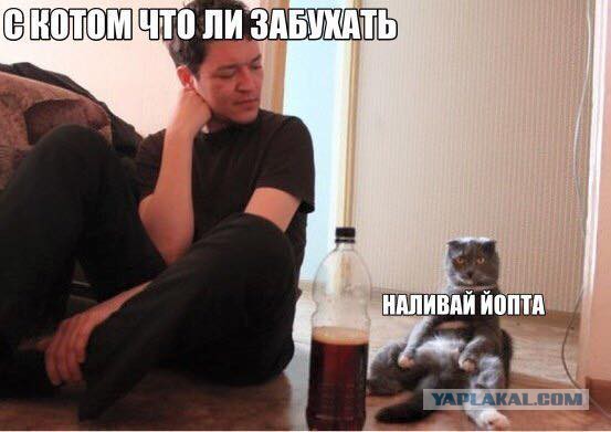 Картинки на утро вторника
