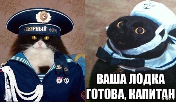 Зловещее существо вылезло из унитаза