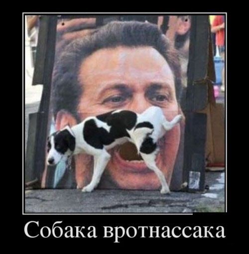 Абсурдный юмор ч.2