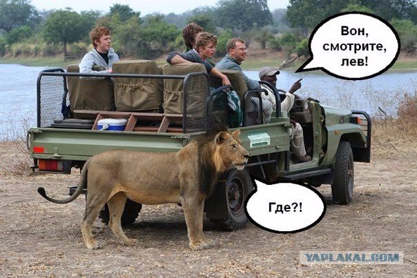 Картинки из сети 03.04.2016