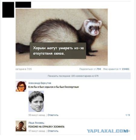 Смешные комментарии 01.05.2016