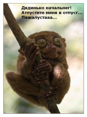 Общество хотелок ЯПа