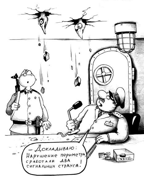 Неожиданной тупости пост