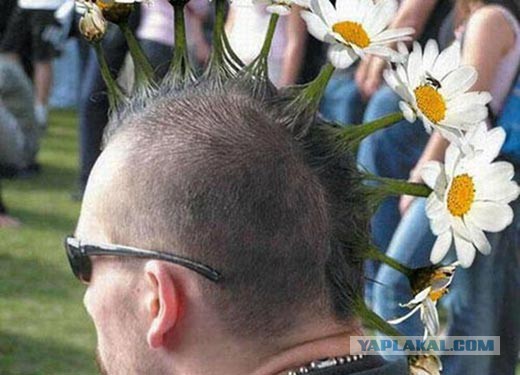 Подборка любопытных фотографий со всего света
