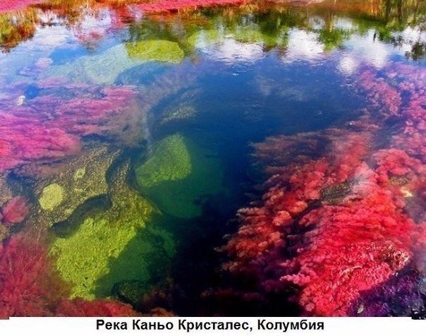 Картинки из этих ваших инторнетов