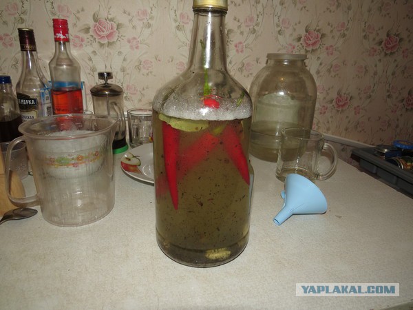 Перцовка, огненная вода!