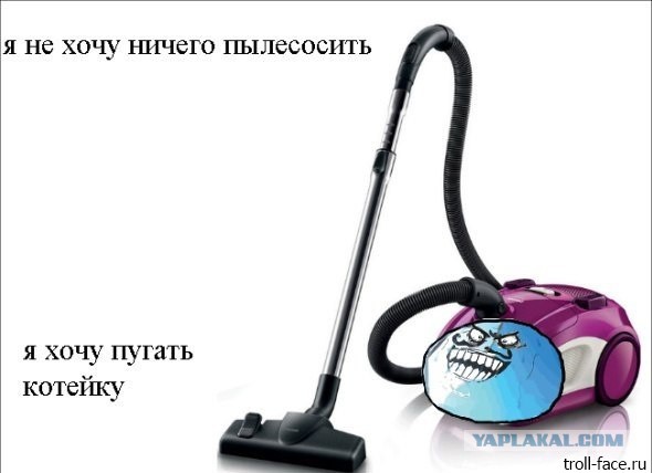 "Пылесошу" достало блин!