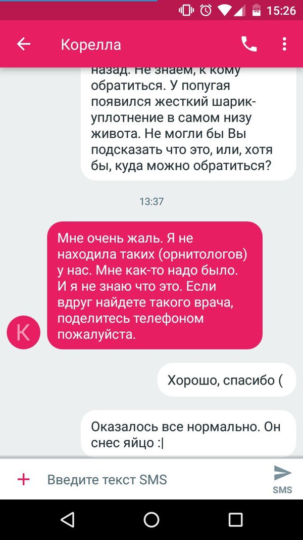 Смешные комментарии из социальных сетей 17.02.2016