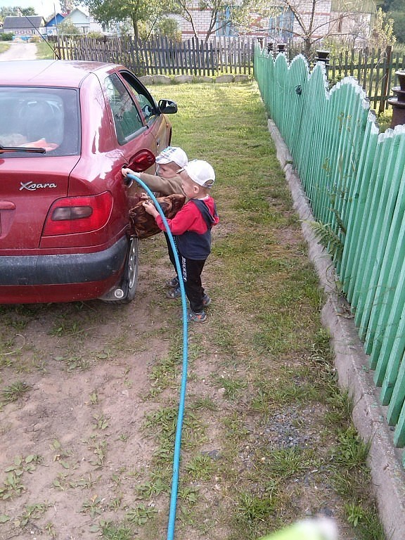 Прикольные картинки 12.06.2017