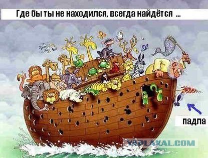 Подборка интересных и веселых картинок