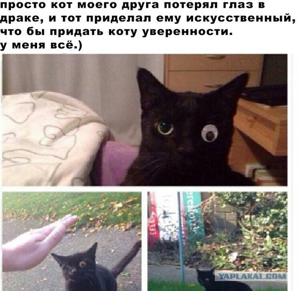 Лишняя хромосома явно не добавила красоты, но добавила индивидуальности