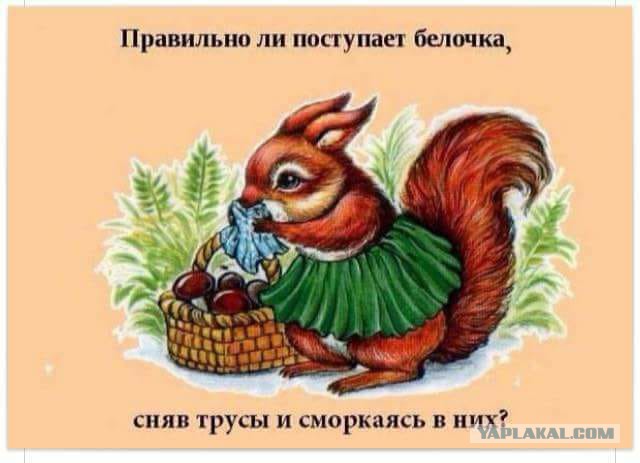 Юмор и несуразности в картинках